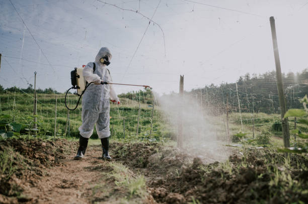 Professional Pest Control in Robbins, NC