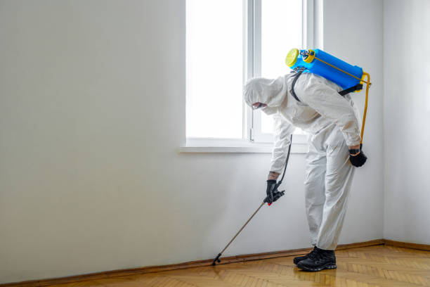 Best Pest Inspection Near Me  in Robbins, NC