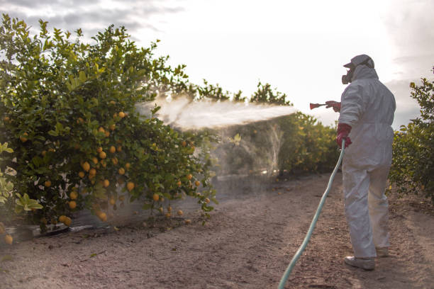 Best Mosquito Control Services  in Robbins, NC