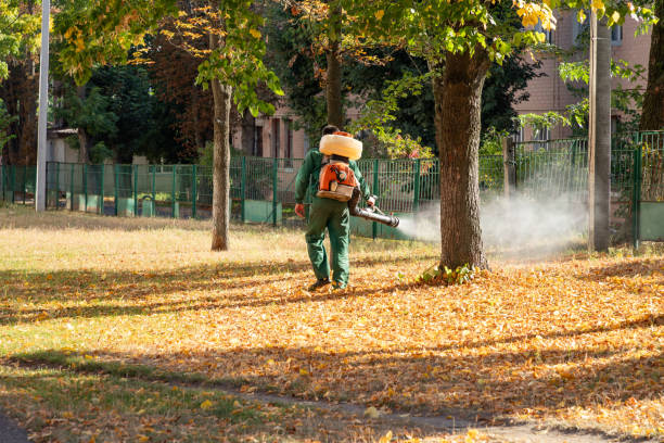 Best Pest Control Near Me in Robbins, NC