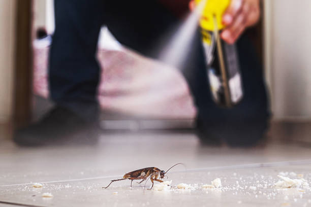 Best Insect Control  in Robbins, NC