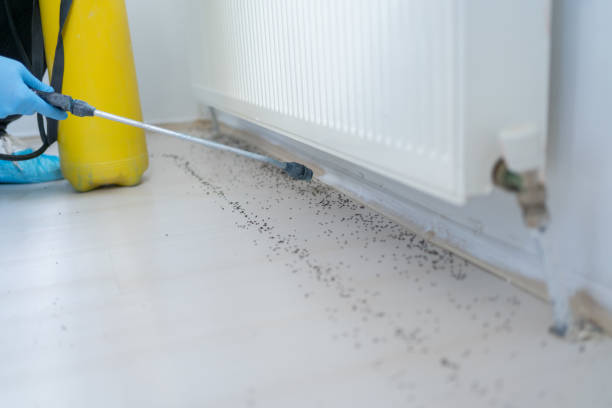 Reliable Robbins, NC Pest Control Solutions