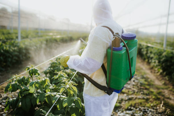 Best Pest Control for Restaurants  in Robbins, NC